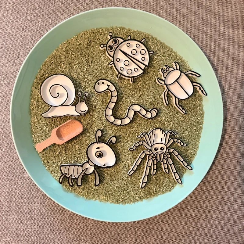 Sensory Play Set - Creepy Crawlies