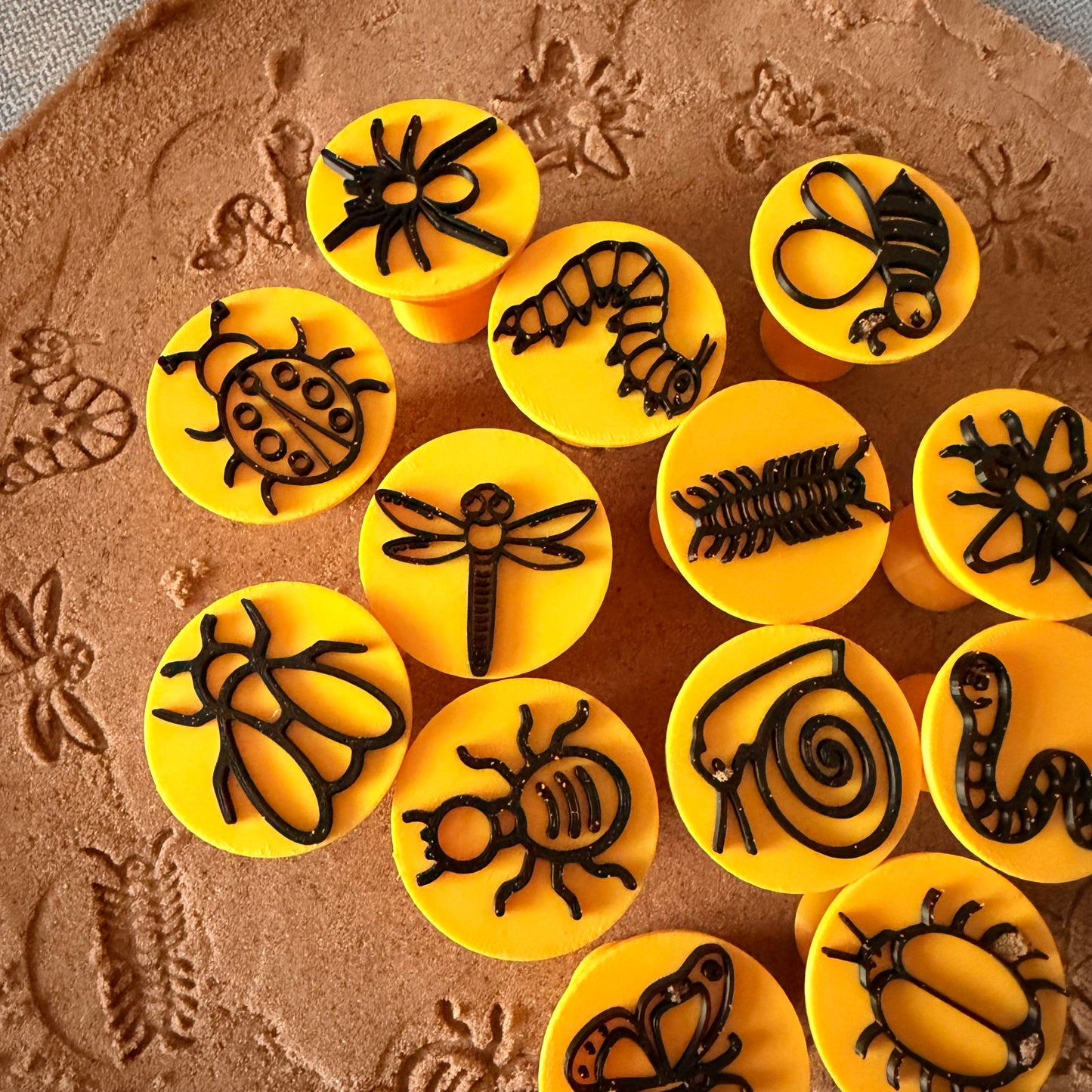 Sensory Stamp Set - Mini Beasts