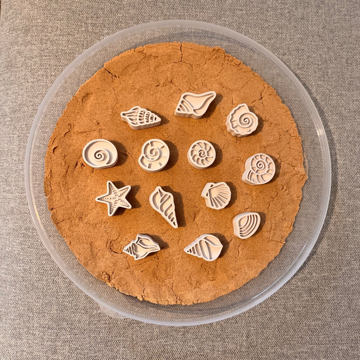 Sensory Play Set - Seashells