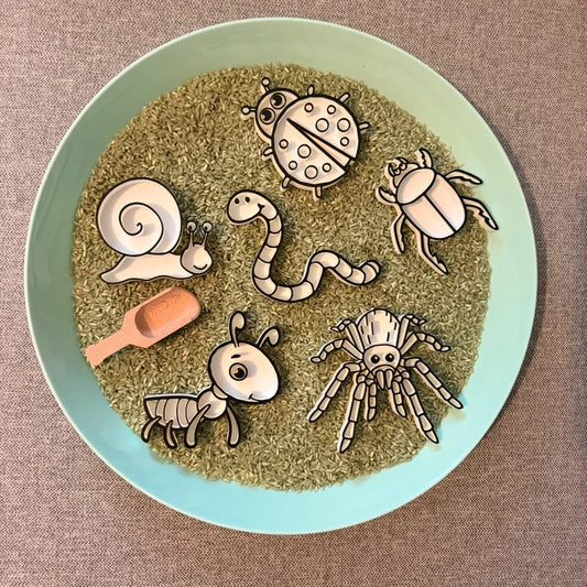 Sensory Play Set - Creepy Crawlies