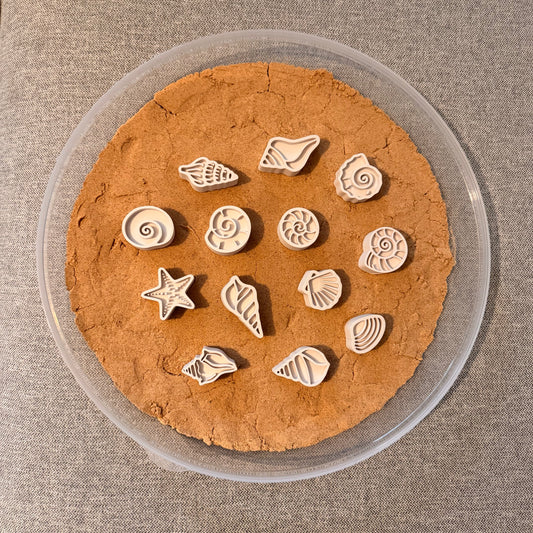 Sensory Play Set - Seashells